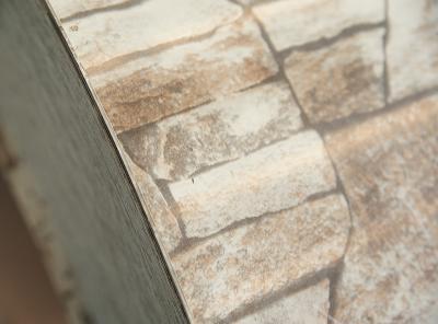 Hoja de Galvalume recubierta de color